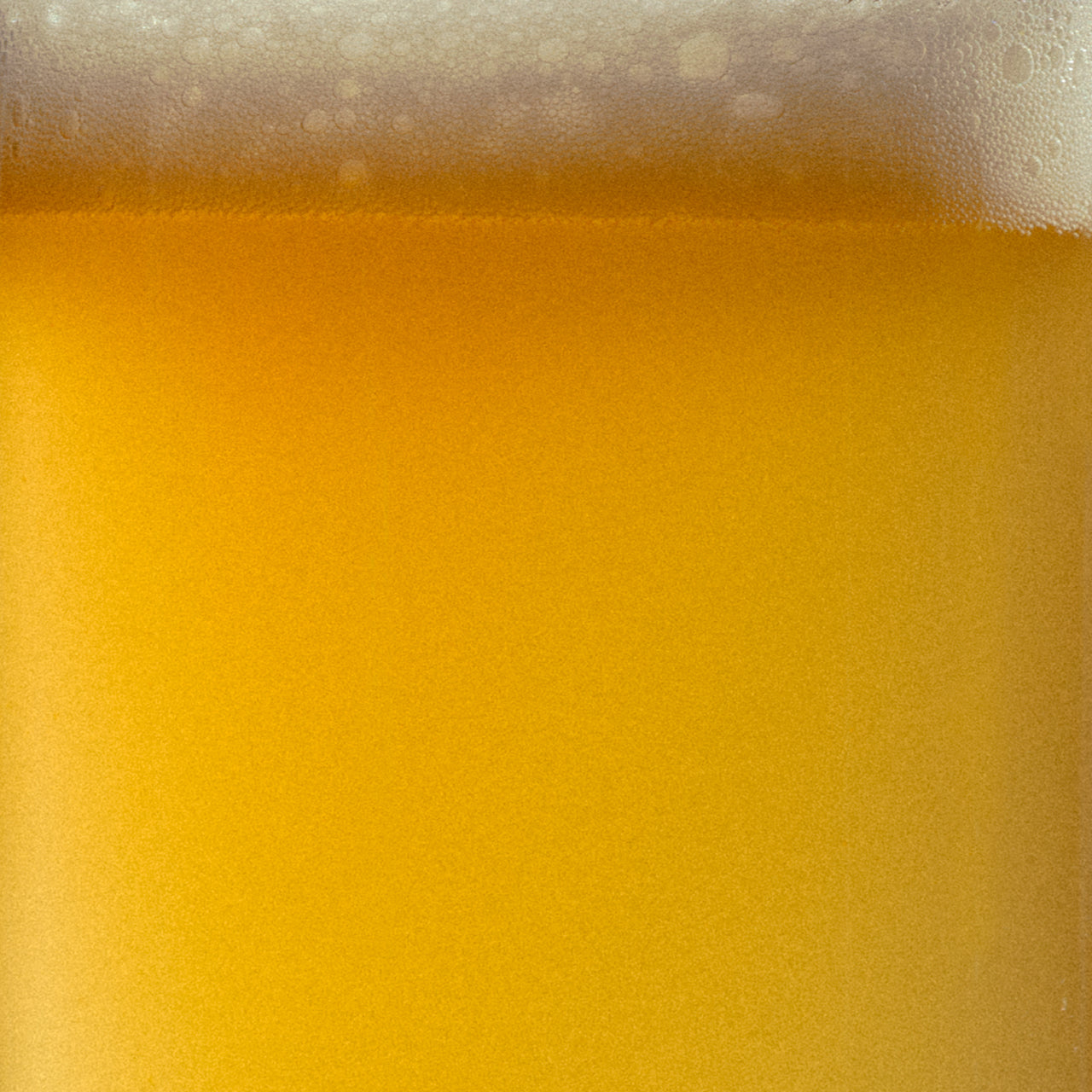 Sour Ale